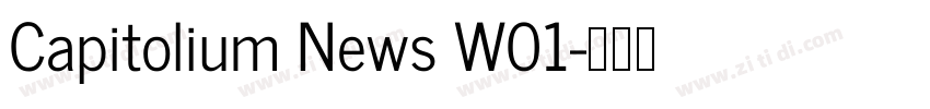 Capitolium News W01字体转换